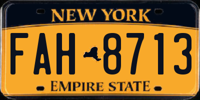 NY license plate FAH8713