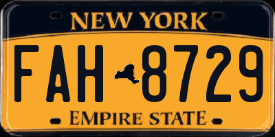 NY license plate FAH8729