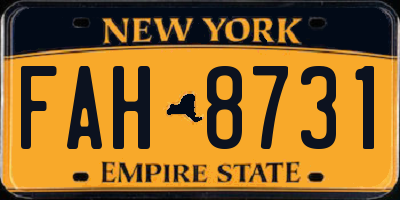 NY license plate FAH8731