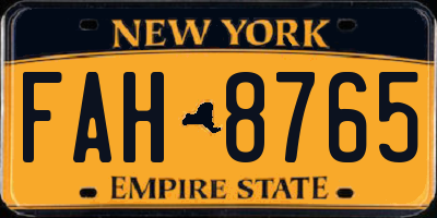 NY license plate FAH8765