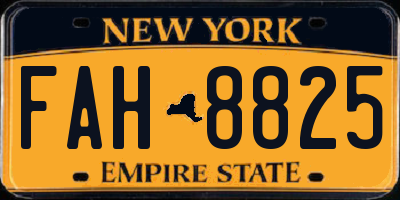NY license plate FAH8825