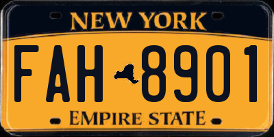 NY license plate FAH8901