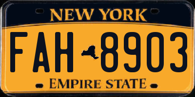 NY license plate FAH8903