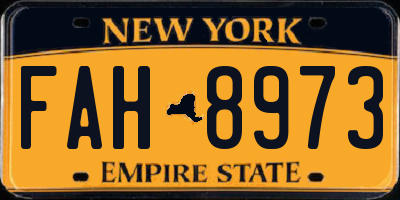 NY license plate FAH8973