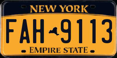NY license plate FAH9113