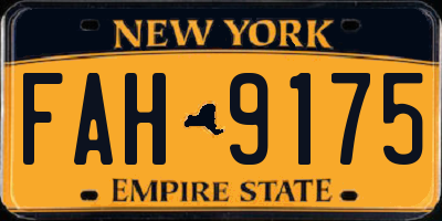 NY license plate FAH9175