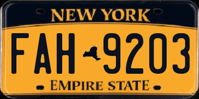 NY license plate FAH9203