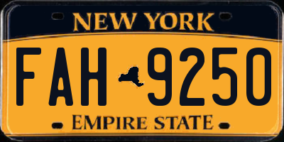 NY license plate FAH9250