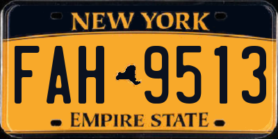 NY license plate FAH9513