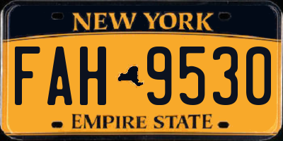 NY license plate FAH9530