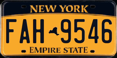 NY license plate FAH9546