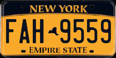 NY license plate FAH9559