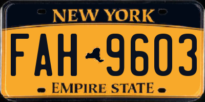 NY license plate FAH9603
