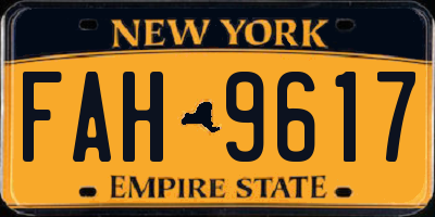 NY license plate FAH9617