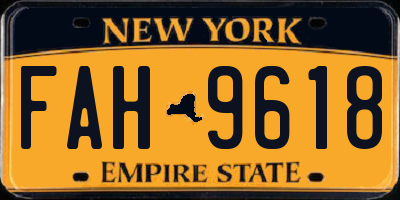 NY license plate FAH9618