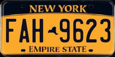 NY license plate FAH9623