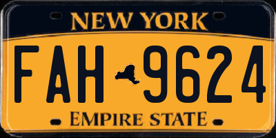 NY license plate FAH9624