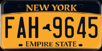 NY license plate FAH9645