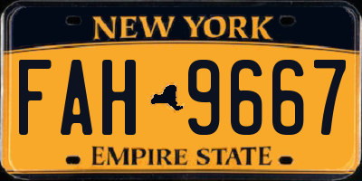 NY license plate FAH9667
