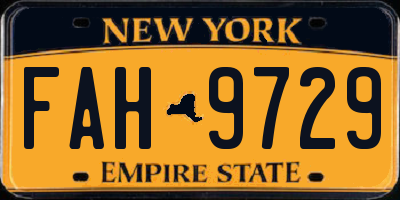 NY license plate FAH9729