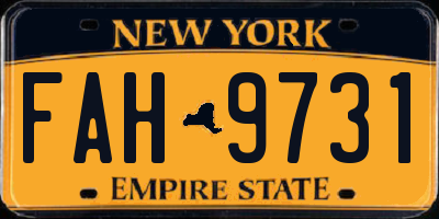 NY license plate FAH9731
