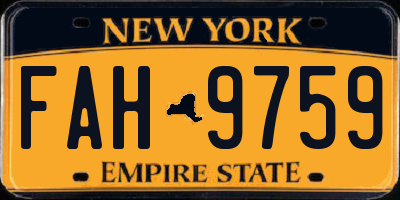 NY license plate FAH9759