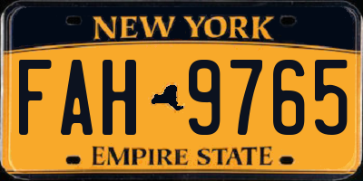 NY license plate FAH9765