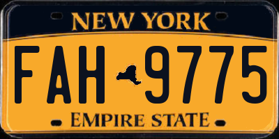 NY license plate FAH9775
