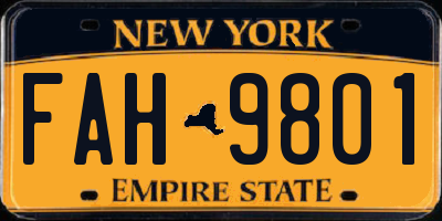 NY license plate FAH9801