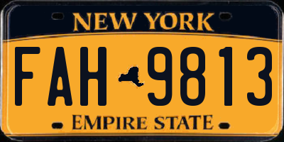 NY license plate FAH9813