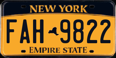 NY license plate FAH9822