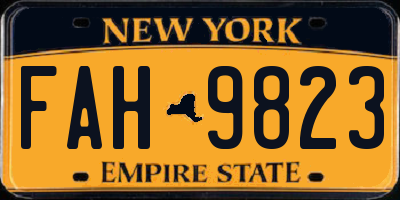 NY license plate FAH9823
