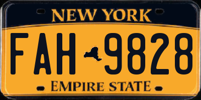 NY license plate FAH9828