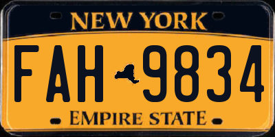 NY license plate FAH9834