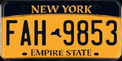 NY license plate FAH9853