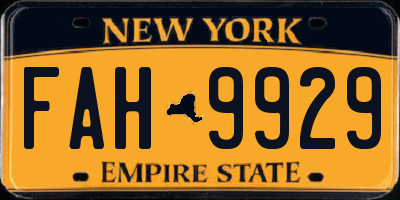 NY license plate FAH9929