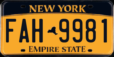 NY license plate FAH9981