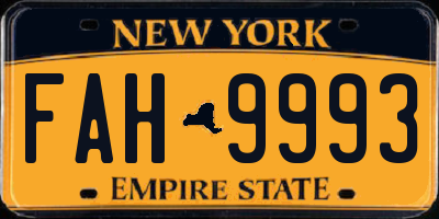 NY license plate FAH9993