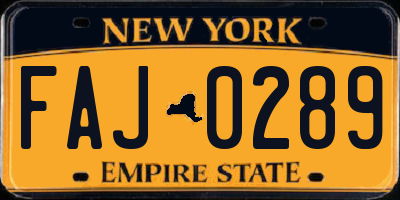 NY license plate FAJ0289