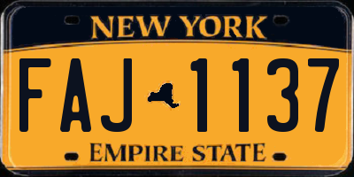 NY license plate FAJ1137