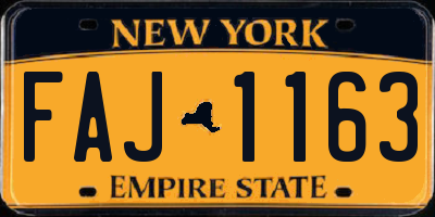 NY license plate FAJ1163