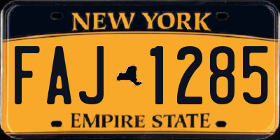 NY license plate FAJ1285