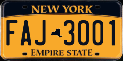 NY license plate FAJ3001