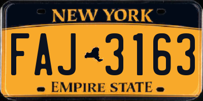 NY license plate FAJ3163