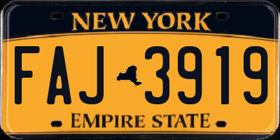 NY license plate FAJ3919