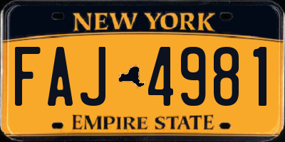 NY license plate FAJ4981
