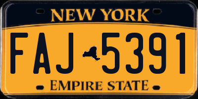 NY license plate FAJ5391