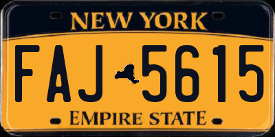 NY license plate FAJ5615