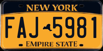 NY license plate FAJ5981