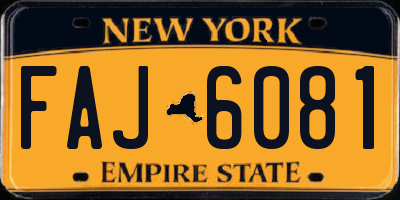 NY license plate FAJ6081